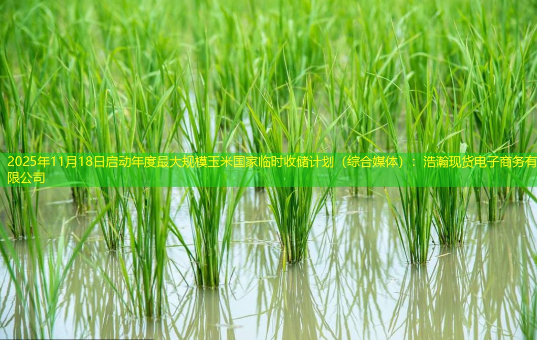 2025年11月18日启动年度最大规模玉米国家临时收储计划（综合媒体）