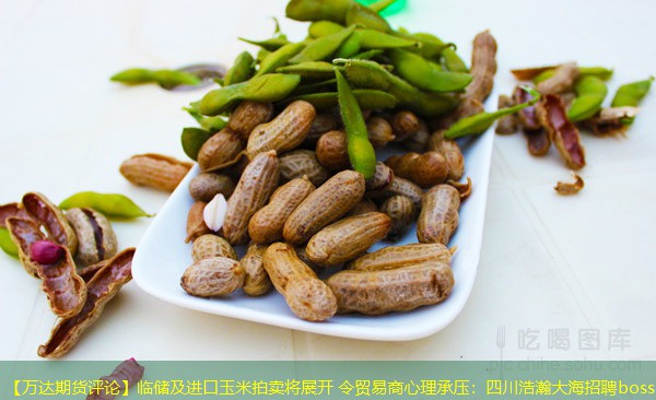 【万达期货评论】临储及进口玉米拍卖将展开 令贸易商心理承压：四川浩瀚大海招聘boss