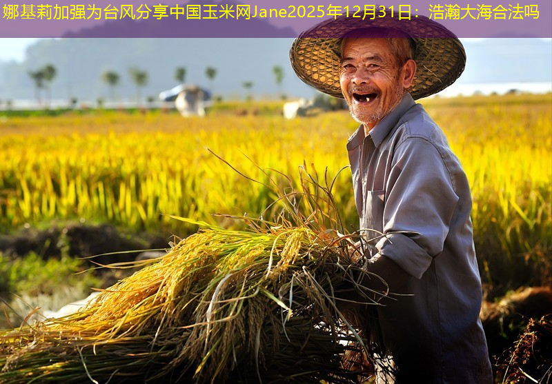 娜基莉加强为台风分享中国玉米网Jane2025年12月31日：浩瀚大海合法吗