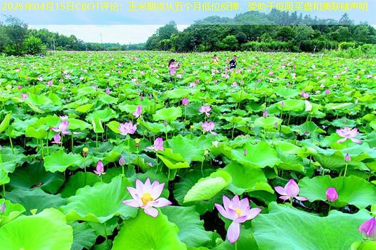 2025年04月15日CBOT评论：玉米期货从五个月低位反弹，受助于低吸买盘和美联储声明