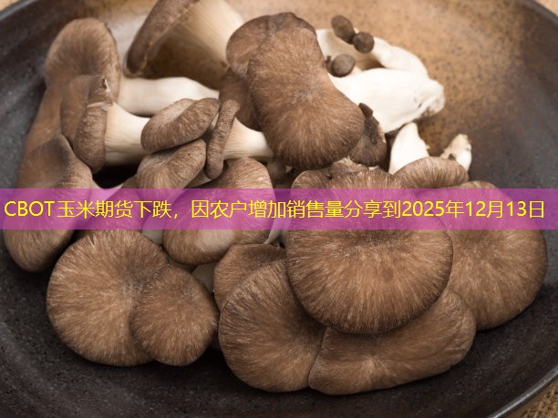 CBOT玉米期货下跌，因农户增加销售量分享到2025年12月13日