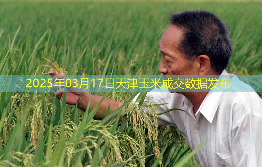 2025年03月17日天津玉米成交数据发布
