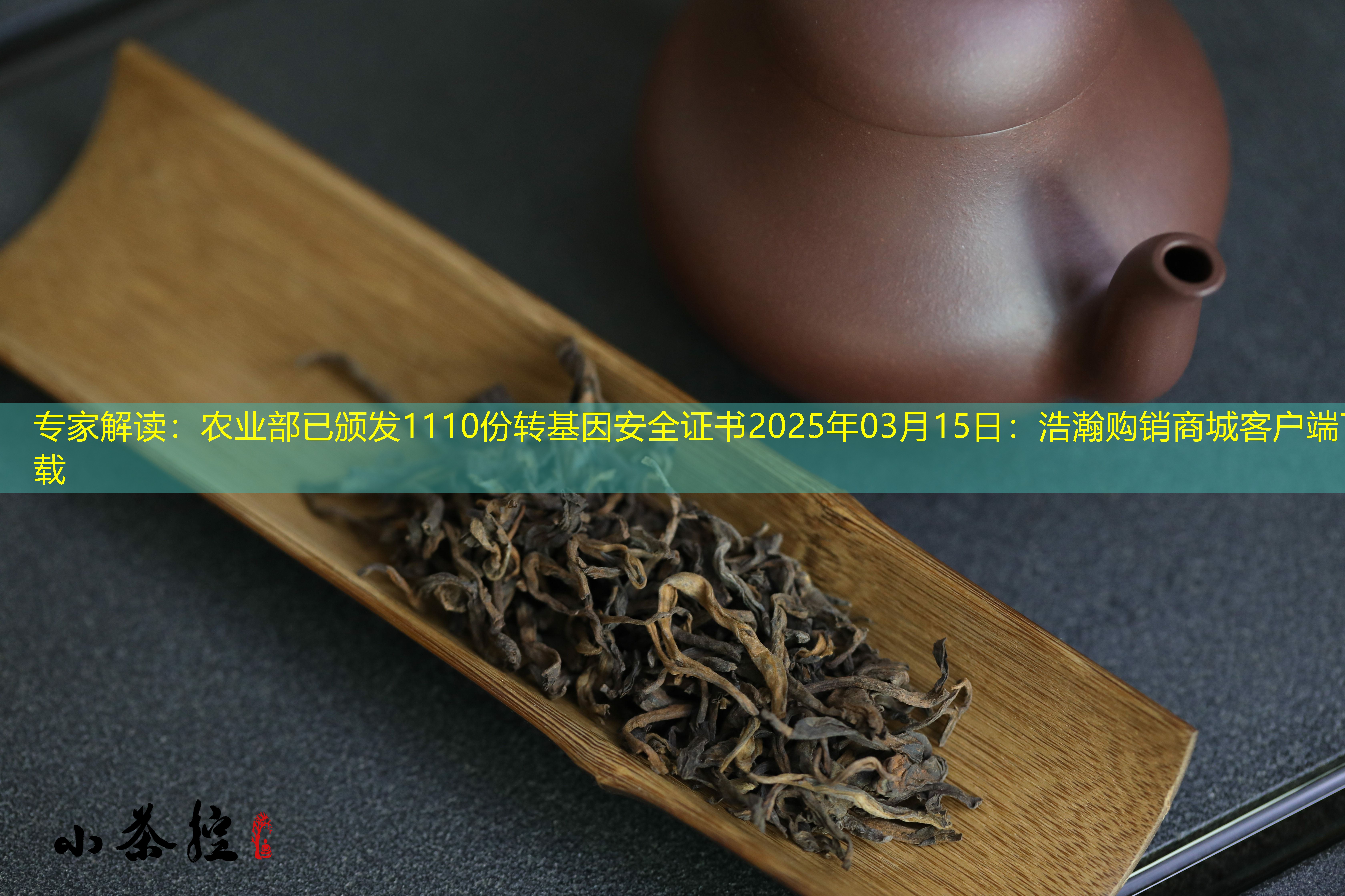 专家解读：农业部已颁发1110份转基因安全证书2025年03月15日