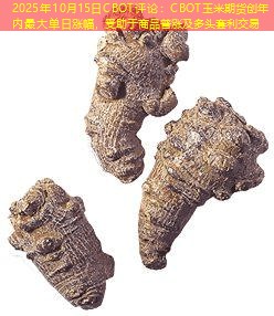 2025年10月15日CBOT评论：CBOT玉米期货创年内最大单日涨幅，受助于商品普涨及多头套利交易