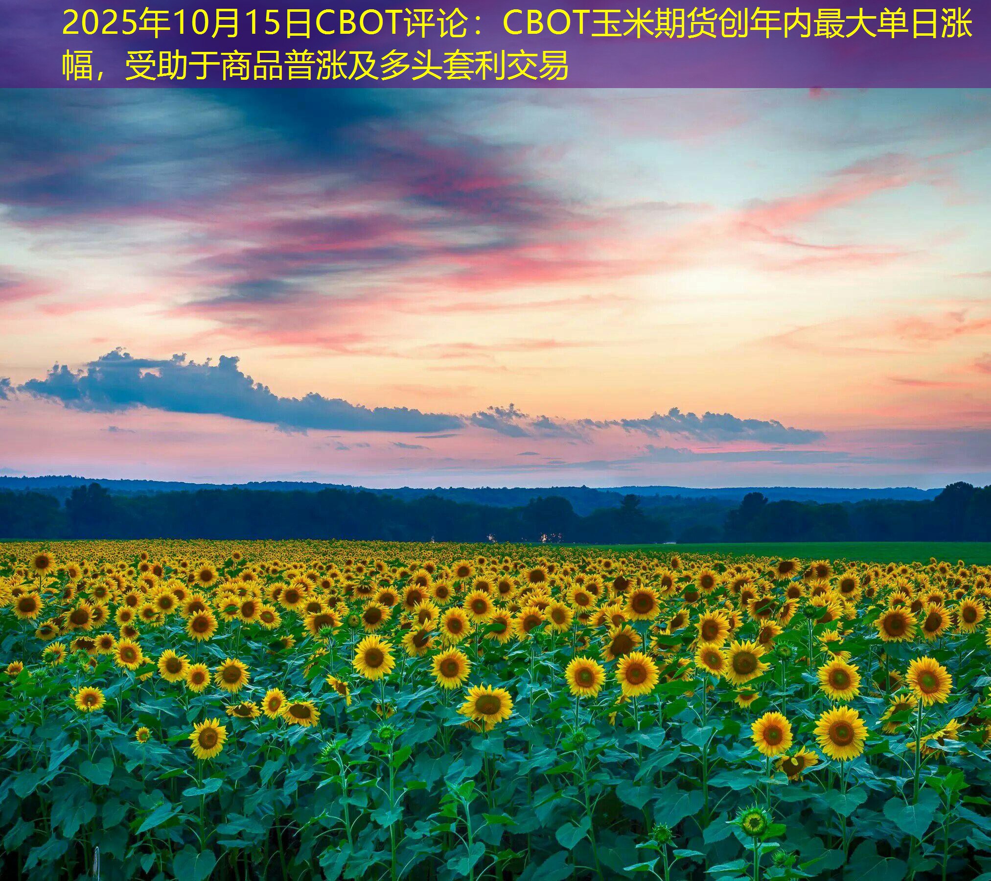 2025年10月15日CBOT评论：CBOT玉米期货创年内最大单日涨幅，受助于商品普涨及多头套利交易
