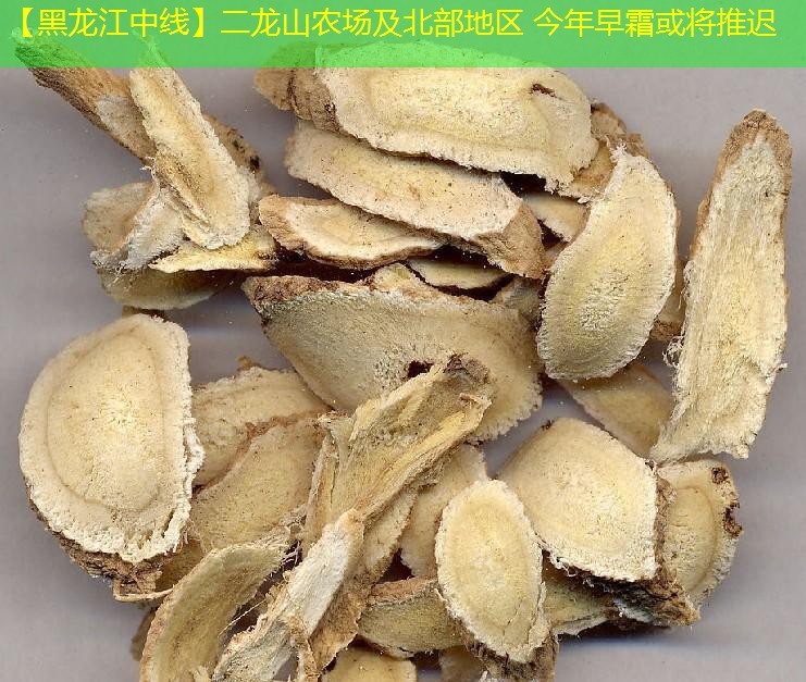 【黑龙江中线】二龙山农场及北部地区 今年早霜或将推迟