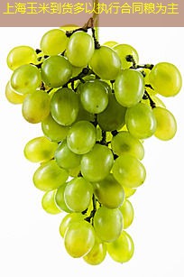 上海玉米到货多以执行合同粮为主