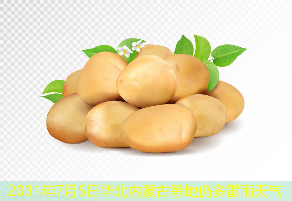 2031年7月5日华北内蒙古等地仍多雷雨天气