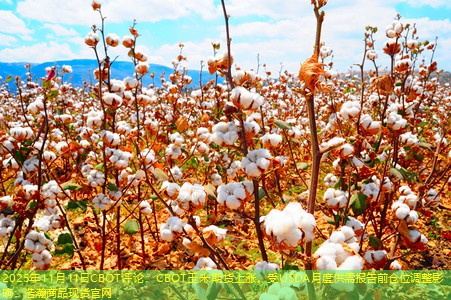 2025年11月11日CBOT评论：CBOT玉米期货上涨，受USDA月度供需报告前仓位调整影响：浩瀚商品现货官网