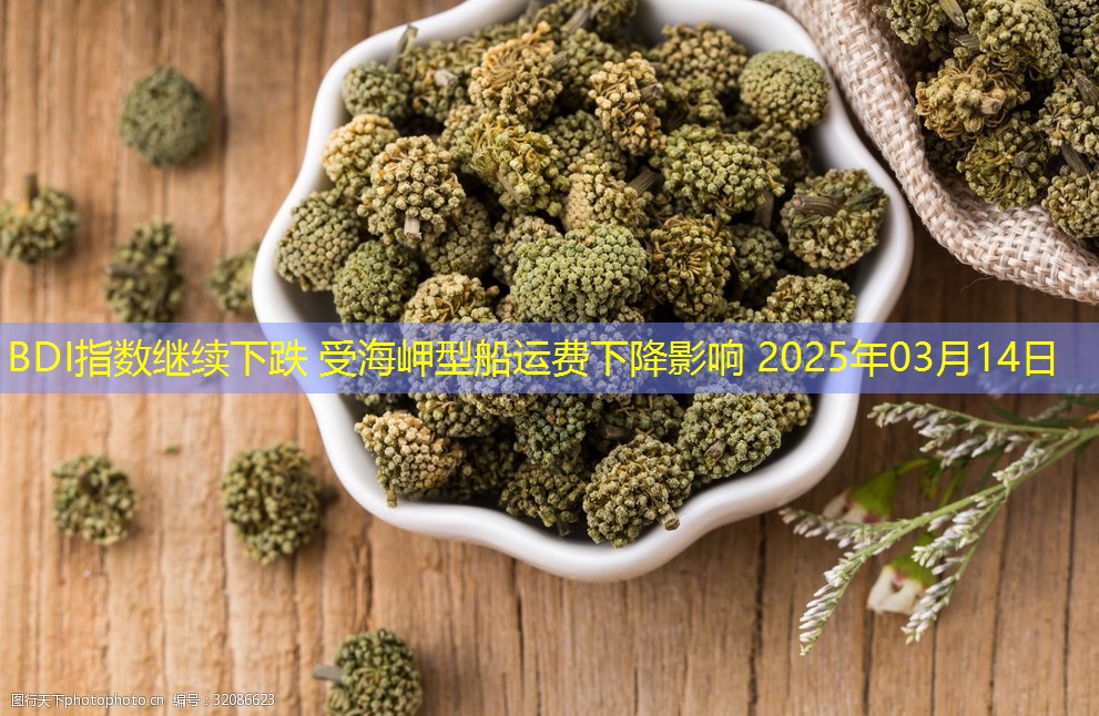 BDI指数继续下跌 受海岬型船运费下降影响 2025年03月14日