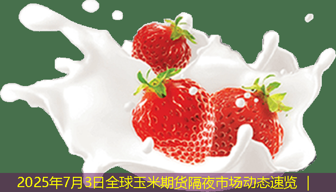 2025年7月3日全球玉米期货隔夜市场动态速览 ｜