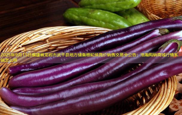 2025年9月15日福建省龙岩市武平县地方储备粮轮换竞价销售交易会公告：浩瀚购销商城行情系统怎么样